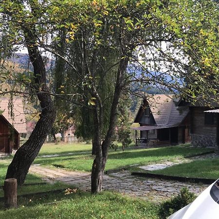 Elephant Family Bordzjomi Kamer foto